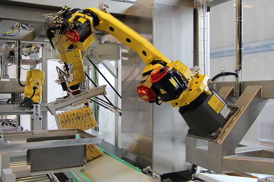 Palettierer, Aufrichter, Traydeckler, Wrap- Around- Packer, Fördertechnik. Mehrachsige Roboterlösungen, Kartonagen mit Steckverschluß oder Heißleimverschluß